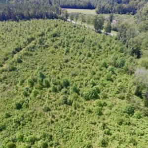 Photo of UNDER CONTRACT!!  49.5 Acres of Recreational and Hunting Land For Sale in Brunswick County VA!