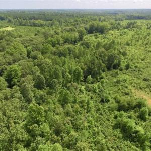 Photo of UNDER CONTRACT!!  49.5 Acres of Recreational and Hunting Land For Sale in Brunswick County VA!