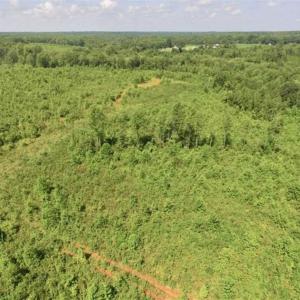 Photo of UNDER CONTRACT!!  49.5 Acres of Recreational and Hunting Land For Sale in Brunswick County VA!
