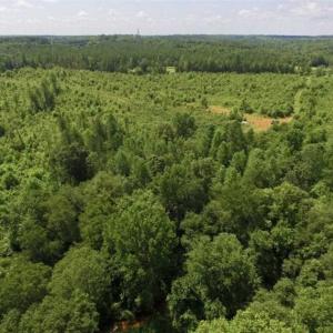 Photo of UNDER CONTRACT!!  49.5 Acres of Recreational and Hunting Land For Sale in Brunswick County VA!