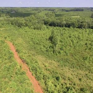 Photo of UNDER CONTRACT!!  49.5 Acres of Recreational and Hunting Land For Sale in Brunswick County VA!