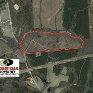 Photo of UNDER CONTRACT!!  49.5 Acres of Recreational and Hunting Land For Sale in Brunswick County VA!