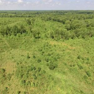 Photo of UNDER CONTRACT!!  49.5 Acres of Recreational and Hunting Land For Sale in Brunswick County VA!