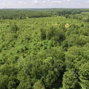 Photo of UNDER CONTRACT!!  49.5 Acres of Recreational and Hunting Land For Sale in Brunswick County VA!