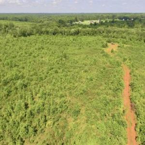Photo of UNDER CONTRACT!!  49.5 Acres of Recreational and Hunting Land For Sale in Brunswick County VA!