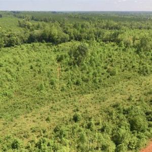 Photo of UNDER CONTRACT!!  49.5 Acres of Recreational and Hunting Land For Sale in Brunswick County VA!