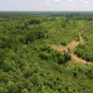 Photo of UNDER CONTRACT!!  49.5 Acres of Recreational and Hunting Land For Sale in Brunswick County VA!