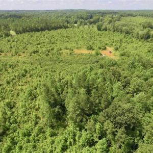 Photo of UNDER CONTRACT!!  49.5 Acres of Recreational and Hunting Land For Sale in Brunswick County VA!