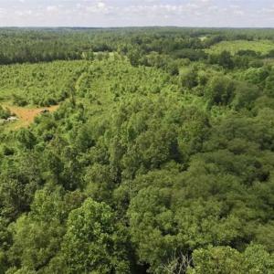 Photo of UNDER CONTRACT!!  49.5 Acres of Recreational and Hunting Land For Sale in Brunswick County VA!