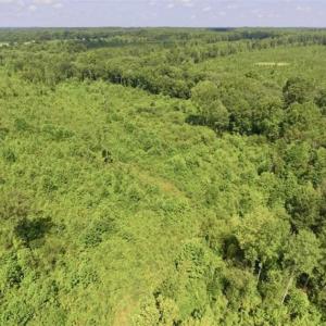 Photo of UNDER CONTRACT!!  49.5 Acres of Recreational and Hunting Land For Sale in Brunswick County VA!