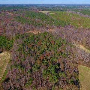 Photo of UNDER CONTRACT!!  107.9 Acres of Timber and Hunting Land For Sale in Nash County NC!