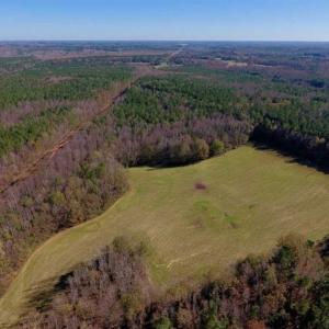 Photo of UNDER CONTRACT!!  107.9 Acres of Timber and Hunting Land For Sale in Nash County NC!