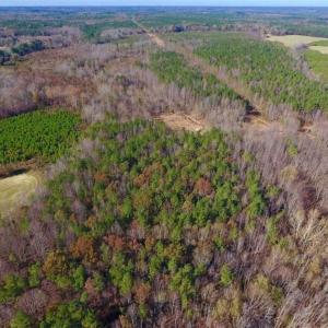 Photo of UNDER CONTRACT!!  107.9 Acres of Timber and Hunting Land For Sale in Nash County NC!