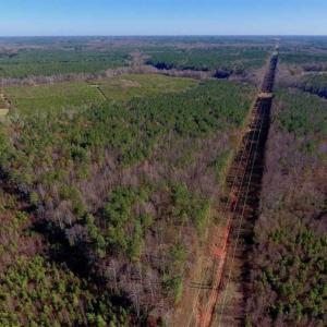 Photo of UNDER CONTRACT!!  107.9 Acres of Timber and Hunting Land For Sale in Nash County NC!