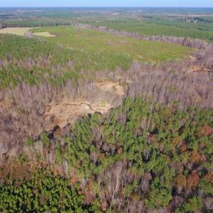 Photo of UNDER CONTRACT!!  107.9 Acres of Timber and Hunting Land For Sale in Nash County NC!