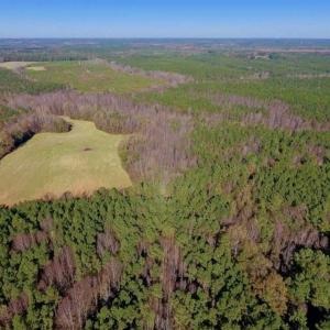 Photo of UNDER CONTRACT!!  107.9 Acres of Timber and Hunting Land For Sale in Nash County NC!
