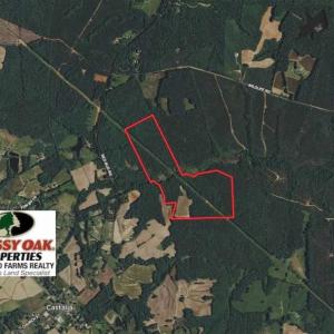 Photo of UNDER CONTRACT!!  107.9 Acres of Timber and Hunting Land For Sale in Nash County NC!