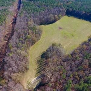 Photo of UNDER CONTRACT!!  107.9 Acres of Timber and Hunting Land For Sale in Nash County NC!