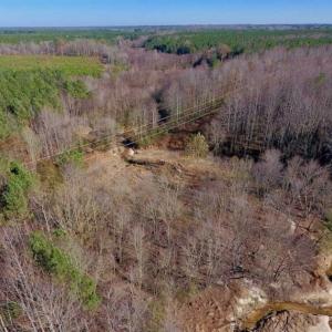 Photo of UNDER CONTRACT!!  107.9 Acres of Timber and Hunting Land For Sale in Nash County NC!