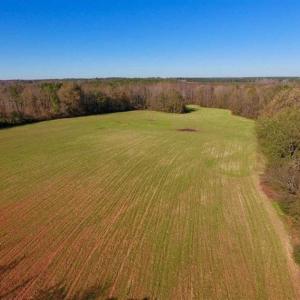 Photo of UNDER CONTRACT!!  107.9 Acres of Timber and Hunting Land For Sale in Nash County NC!