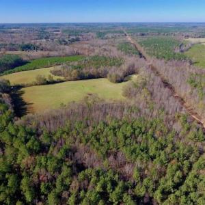 Photo of UNDER CONTRACT!!  107.9 Acres of Timber and Hunting Land For Sale in Nash County NC!
