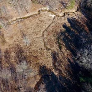 Photo of UNDER CONTRACT!!  107.9 Acres of Timber and Hunting Land For Sale in Nash County NC!