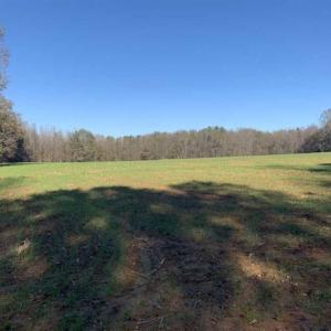 Photo of UNDER CONTRACT!!  107.9 Acres of Timber and Hunting Land For Sale in Nash County NC!
