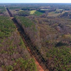 Photo of UNDER CONTRACT!!  107.9 Acres of Timber and Hunting Land For Sale in Nash County NC!