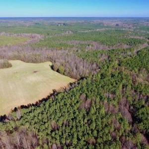 Photo of UNDER CONTRACT!!  107.9 Acres of Timber and Hunting Land For Sale in Nash County NC!
