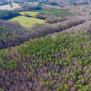 Photo of UNDER CONTRACT!!  107.9 Acres of Timber and Hunting Land For Sale in Nash County NC!