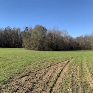 Photo of UNDER CONTRACT!!  107.9 Acres of Timber and Hunting Land For Sale in Nash County NC!