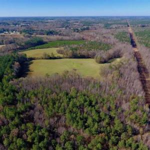 Photo of UNDER CONTRACT!!  107.9 Acres of Timber and Hunting Land For Sale in Nash County NC!