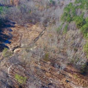 Photo of UNDER CONTRACT!!  107.9 Acres of Timber and Hunting Land For Sale in Nash County NC!