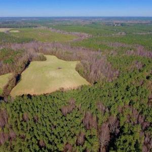 Photo of UNDER CONTRACT!!  107.9 Acres of Timber and Hunting Land For Sale in Nash County NC!