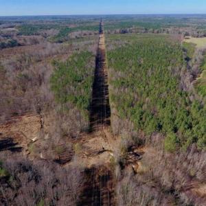 Photo of UNDER CONTRACT!!  107.9 Acres of Timber and Hunting Land For Sale in Nash County NC!