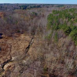 Photo of UNDER CONTRACT!!  107.9 Acres of Timber and Hunting Land For Sale in Nash County NC!