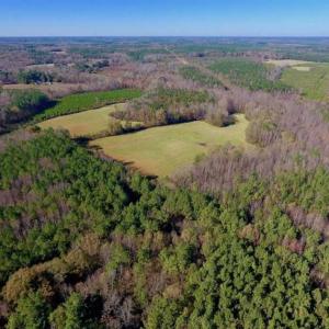 Photo of UNDER CONTRACT!!  107.9 Acres of Timber and Hunting Land For Sale in Nash County NC!