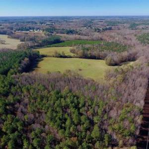 Photo of UNDER CONTRACT!!  107.9 Acres of Timber and Hunting Land For Sale in Nash County NC!