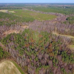 Photo of UNDER CONTRACT!!  107.9 Acres of Timber and Hunting Land For Sale in Nash County NC!