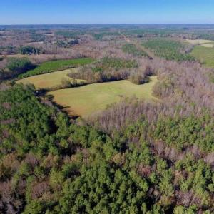 Photo of UNDER CONTRACT!!  107.9 Acres of Timber and Hunting Land For Sale in Nash County NC!