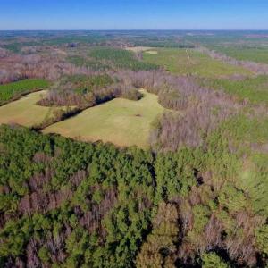 Photo of UNDER CONTRACT!!  107.9 Acres of Timber and Hunting Land For Sale in Nash County NC!