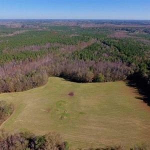 Photo of UNDER CONTRACT!!  107.9 Acres of Timber and Hunting Land For Sale in Nash County NC!