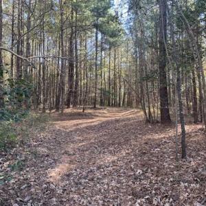Photo of UNDER CONTRACT!!  107.9 Acres of Timber and Hunting Land For Sale in Nash County NC!