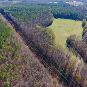 Photo of UNDER CONTRACT!!  107.9 Acres of Timber and Hunting Land For Sale in Nash County NC!