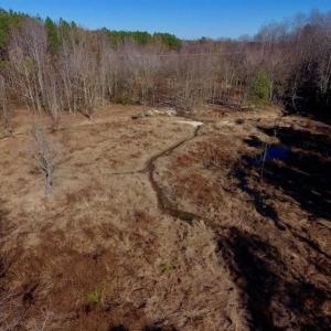 Photo of UNDER CONTRACT!!  107.9 Acres of Timber and Hunting Land For Sale in Nash County NC!