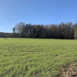 Photo of UNDER CONTRACT!!  107.9 Acres of Timber and Hunting Land For Sale in Nash County NC!