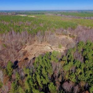 Photo of UNDER CONTRACT!!  107.9 Acres of Timber and Hunting Land For Sale in Nash County NC!
