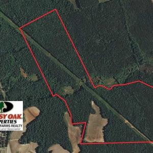 Photo of UNDER CONTRACT!!  107.9 Acres of Timber and Hunting Land For Sale in Nash County NC!