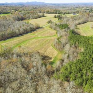 Photo of 41.32 Acres of Farm and Hunting Land for Sale in Rockingham County NC!