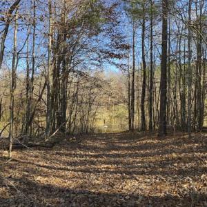 Photo of 41.32 Acres of Farm and Hunting Land for Sale in Rockingham County NC!